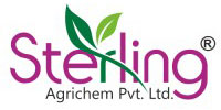 Client 12